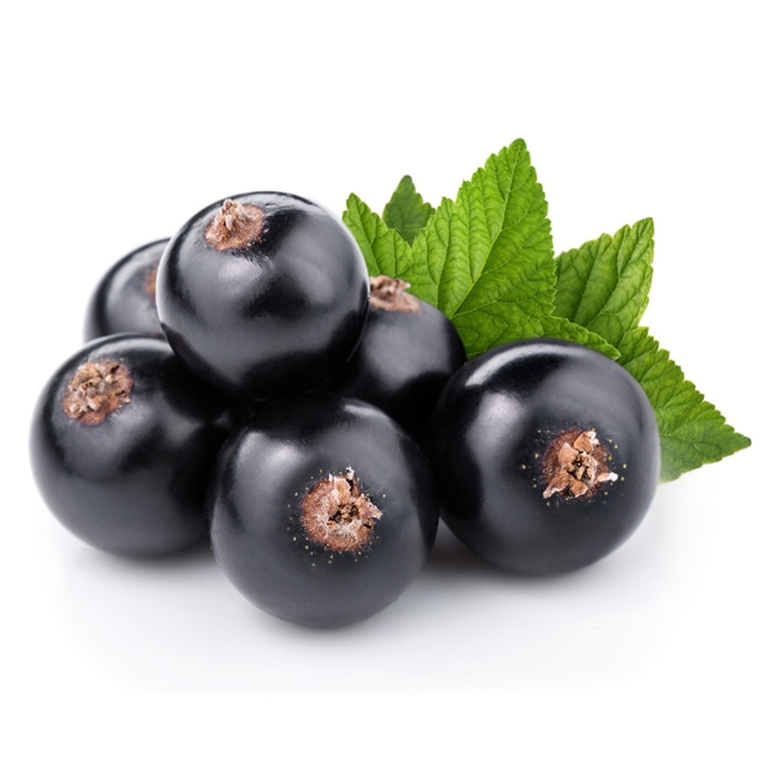 Customs clearance of black currant